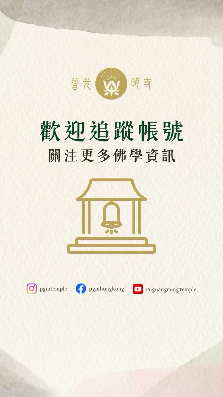 2026.07.26 寺院貓