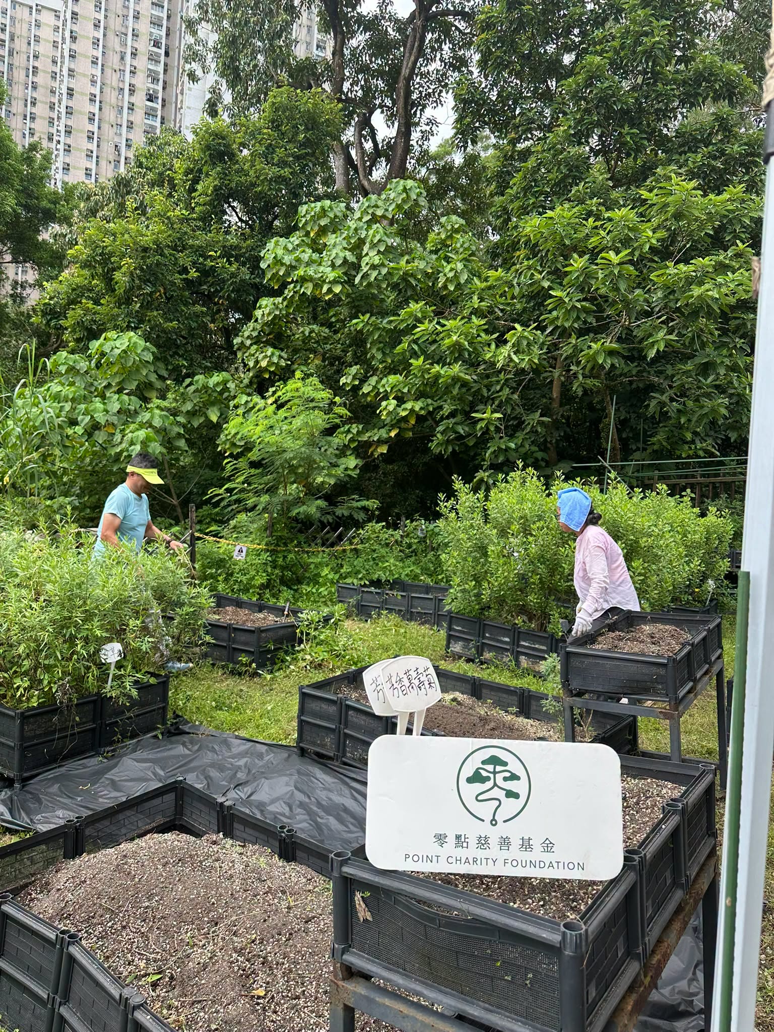 2026.09.07 農禪組花絮：九月農禪聚會